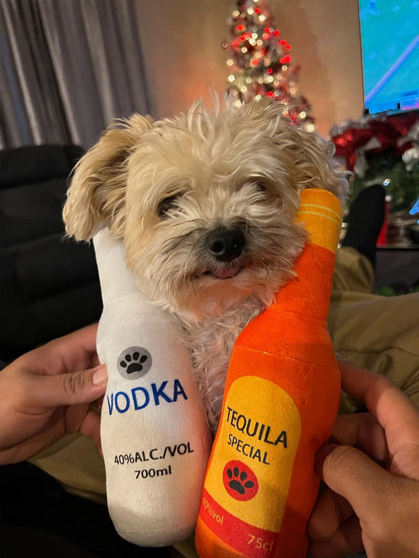 AlkoPies – Pluszowe Butelki dla Psów